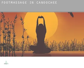 Foot massage in  Canoochee